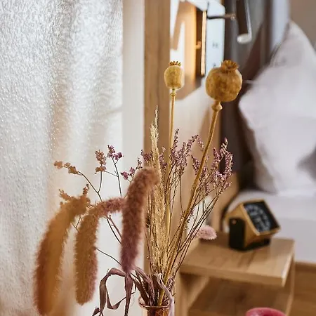 酒店 Daslenz Briedern