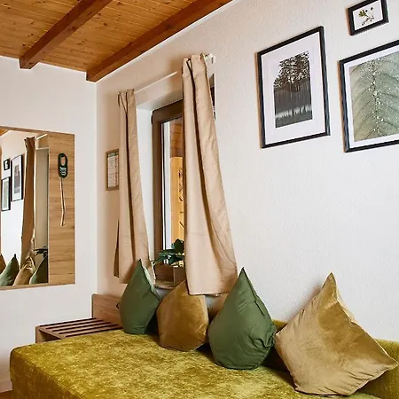 酒店 Daslenz Briedern