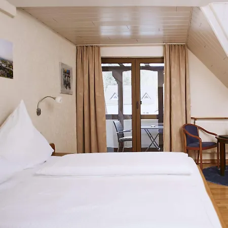 Daslenz 酒店 Briedern