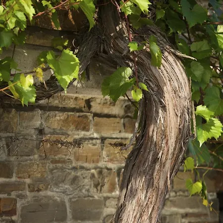 Weinhaus Lenz
